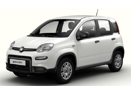 Fiat Panda Cold